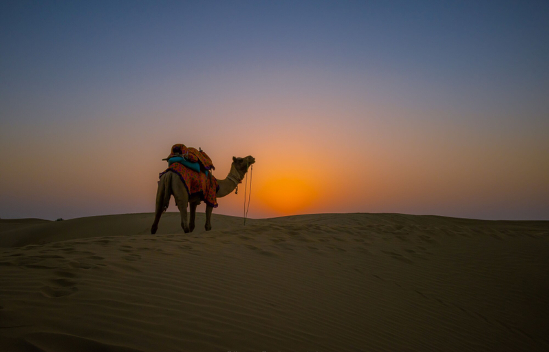 Others 5, Marvin Desert Camp, Jaisalmer