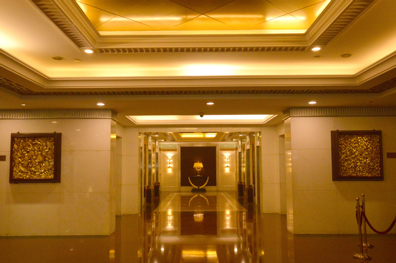 Others 11