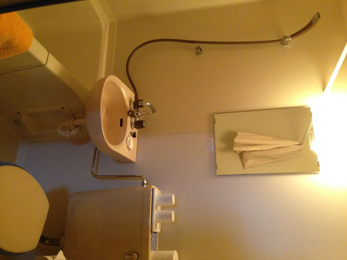 Bathroom 4, Towadako Lakeside Hotel, Towada