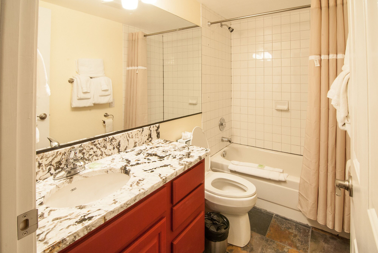 Bathroom 4, North Lake Lodges & Villas, Washoe