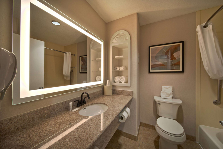Bathroom 5, Wingate by Wyndham Houston Bush Intercontinental Airport, Houston