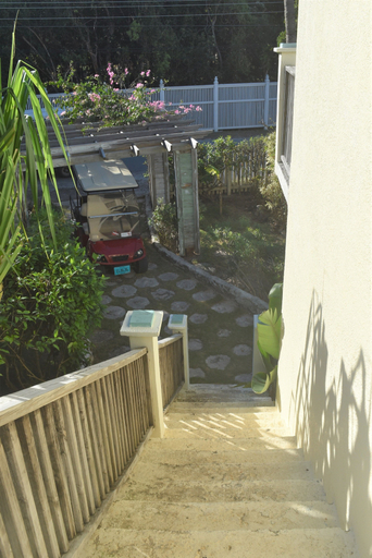 Others 4, The Sugar Apple Lodging