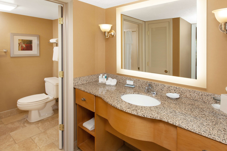 Bathroom 5, Homewood Suites by Hilton Lafayette Rossville Exit, Tippecanoe