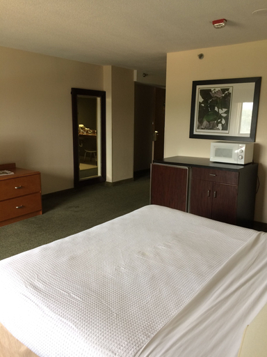 Bedroom 4, Capital Plaza Hotel, Franklin