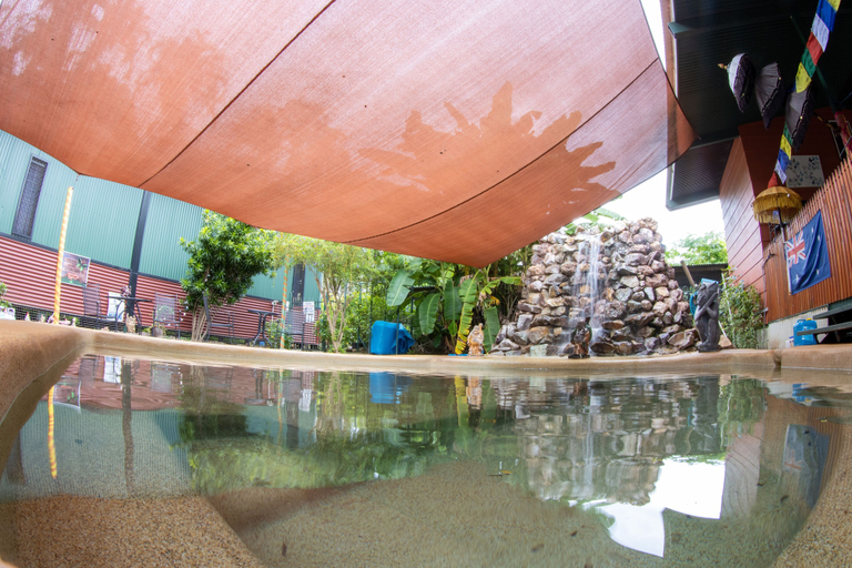 Sport & Beauty 5, Batchelor Butterfly Farm, Coomalie