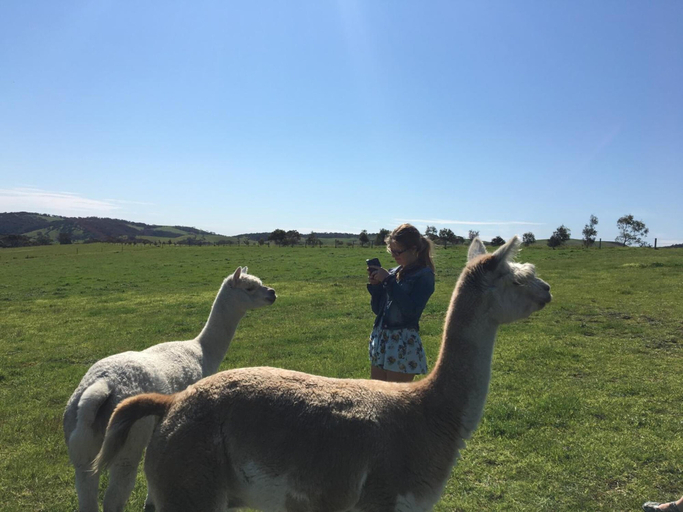 Others 5, Lush Pastures, Yankalilla