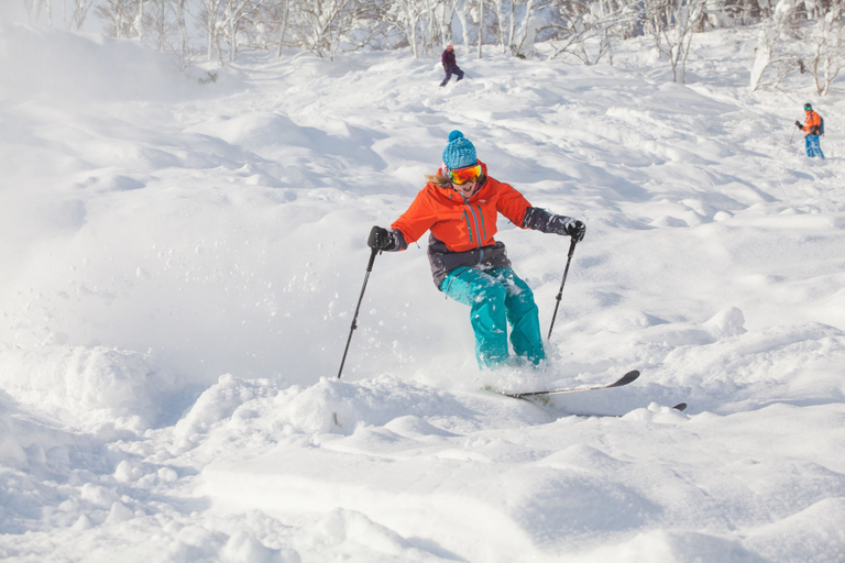 Others 4, Holiday Niseko Snowbird, Kutchan