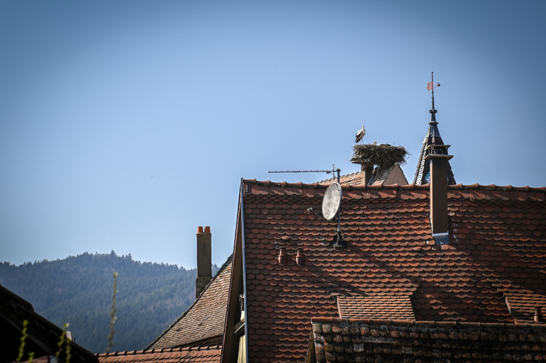 Exterior & Views 2, Hameau D'eguisheim, Haut-Rhin
