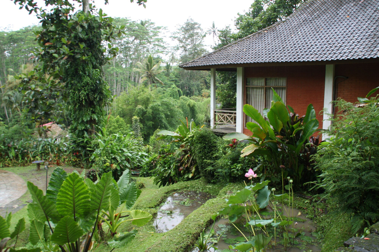 Exterior & Views 2, Yeh Panes Bali, Tabanan