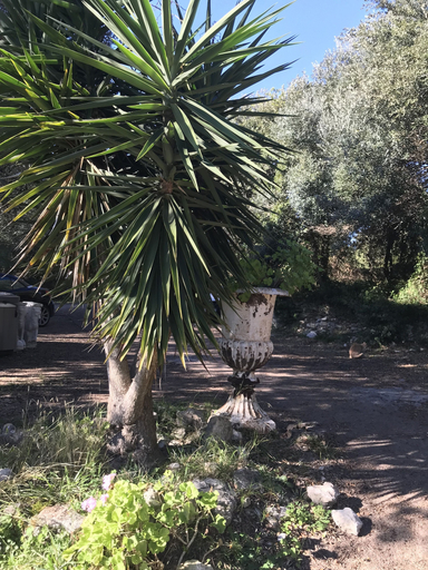 Others 5, Résidence Hôtelière A Trama, Corse-du-Sud