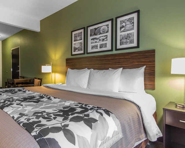 Bedroom 3, Sleep Inn & Suites Middlesboro, Bell
