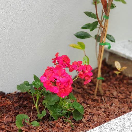 Terrace/patio 5, Apartamento À Francos Metro 2, Porto