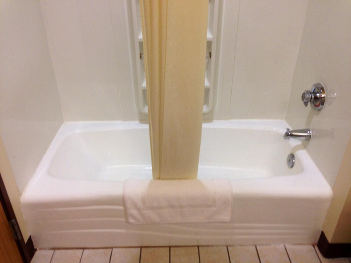Bathroom 4, Super 8 by Wyndham Ava, Douglas
