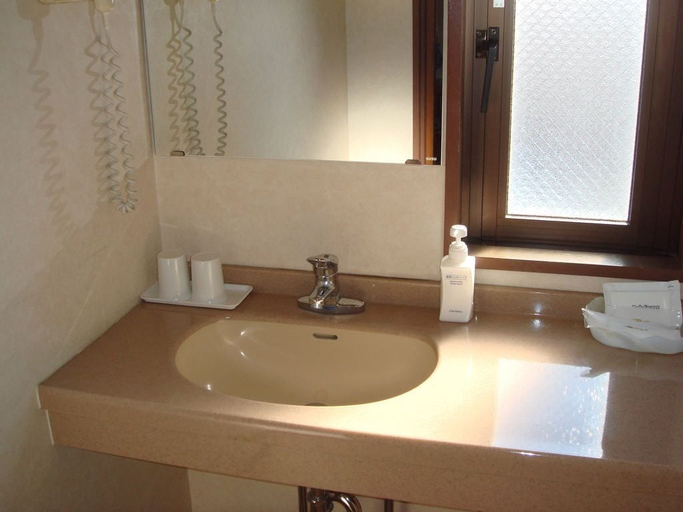Bathroom 3, Hotel Hashimotorou, Ishioka