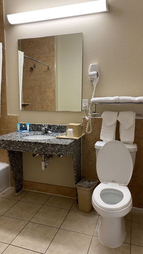 Bathroom 3, Palace Inn Westheimer, Houston