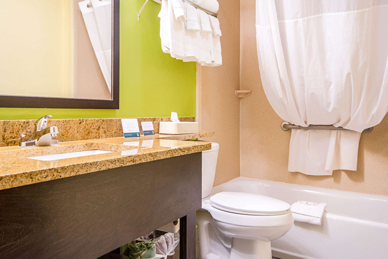 Bathroom 5, Quality Inn & Suites Glenmont - Albany South, Albany