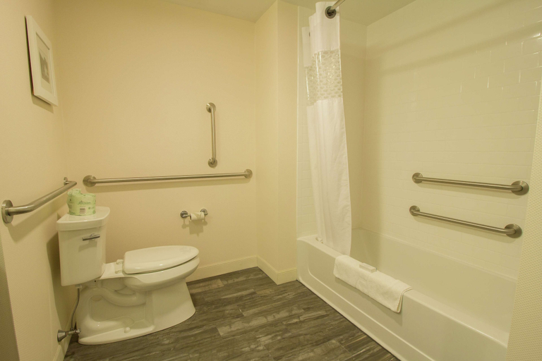 Bathroom 4, Hampton Inn & Suites Cazenovia, Madison