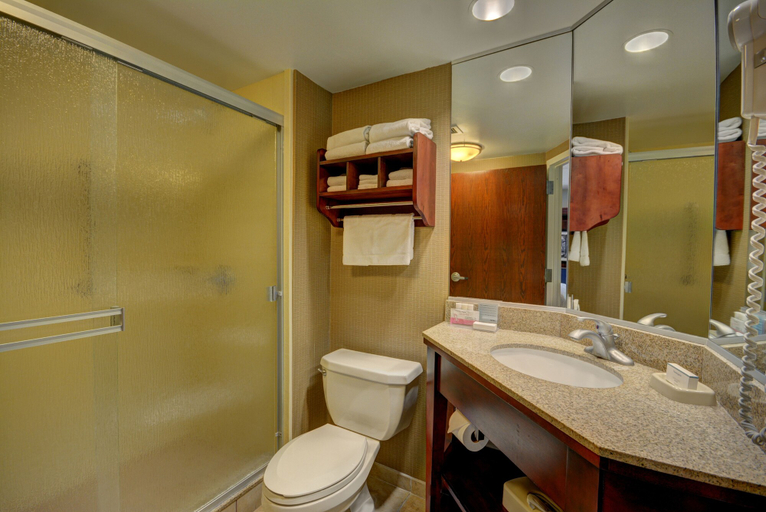 Bathroom 4, Hampton Inn by Hilton Indianapolis-South, Indianapolis