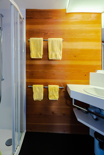 Bathroom 4, Vallatscha, Surselva