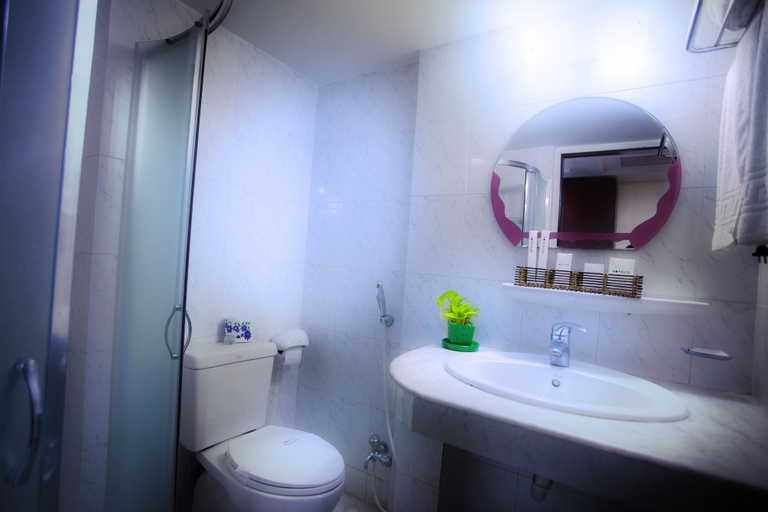 Bathroom 4, Hotel 71, Dhaka