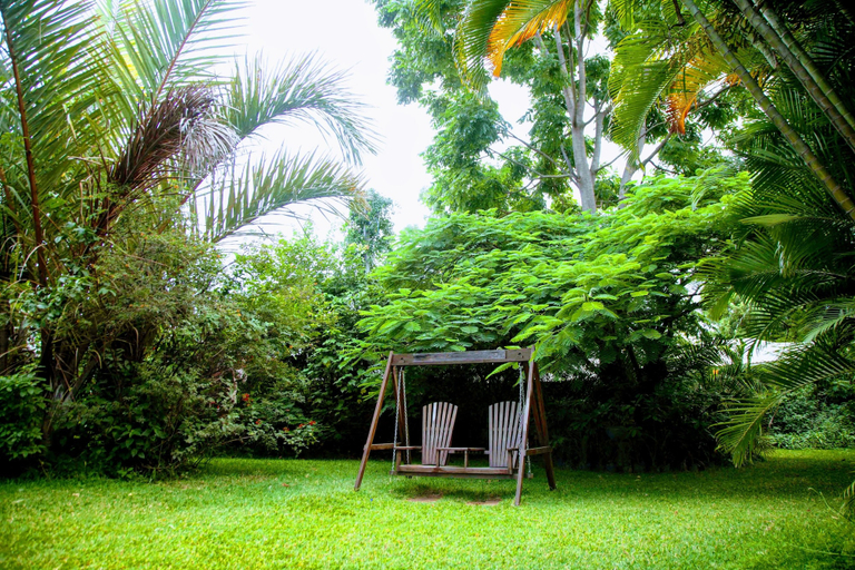 Others 4, Lush Gardens Apartment 1, Lusaka