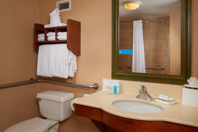 Bathroom 5, Hampton Inn by Hilton Youngstown-West I-80, Mahoning