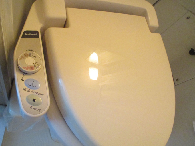 Bathroom 4, Hotel Green Well, Sendai