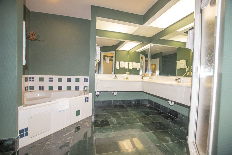 Bathroom 4, Lake Chatuge Lodge, Towns
