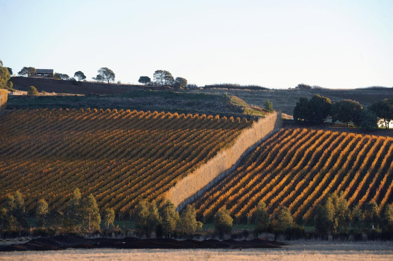 Exterior & Views 2, Relbia Lodge, Launceston - Pt B