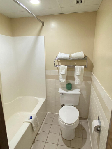 Bathroom 4, American Inn and Suites Peosta, IA, Dubuque