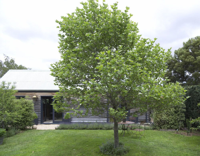 Others 4, Elm Cottage Barn, Southern Midlands