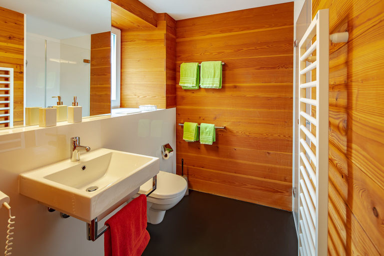 Bathroom 5, Vallatscha, Surselva