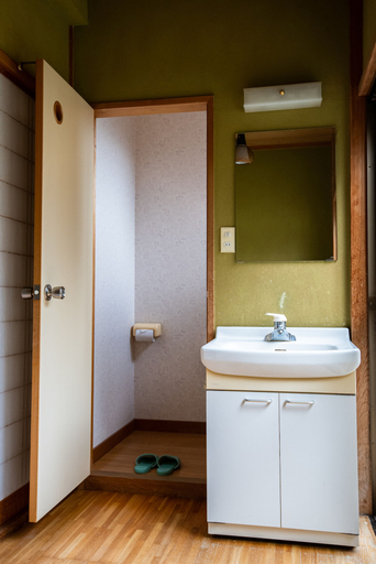 Bathroom 3, Toemu Nozawa, Nozawaonsen