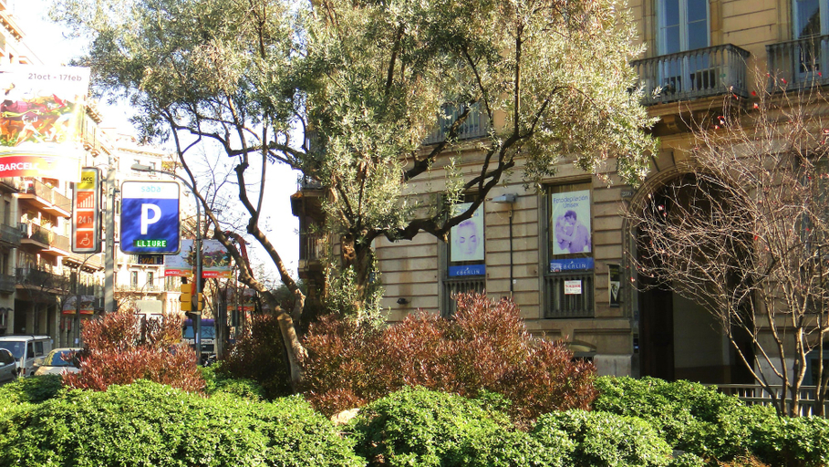 Exterior & Views 2, Hostal Live Natura Barcelona, Barcelona