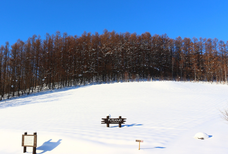 Others 5, Furano Denen Cottage Nupuri, Furano