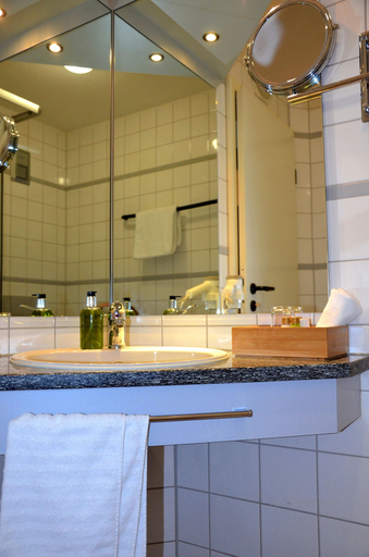 Bathroom 5, Astralis Hotel Domizil, Rhein-Neckar-Kreis