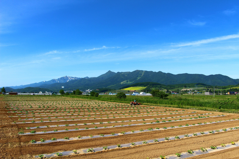Others 3, Furano Denen Cottage Nupuri, Furano