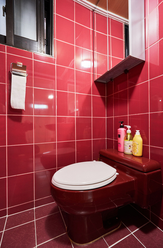 Bathroom 5, Myeongdong Galleria, Jung