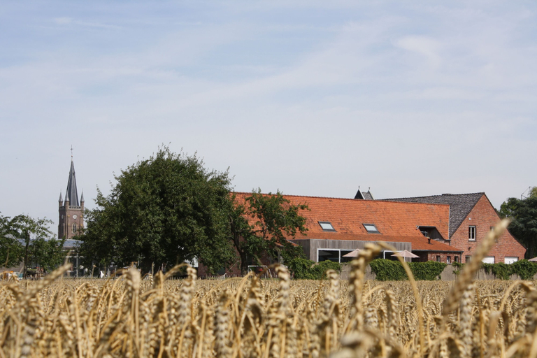 Exterior & Views 2, B&B Buytenshuys, West-Vlaanderen