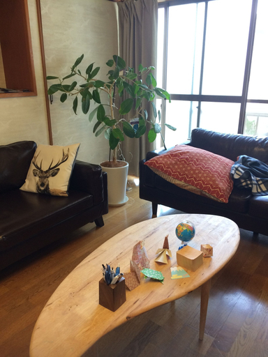 Others 4, Nozawa Dream, Nozawaonsen