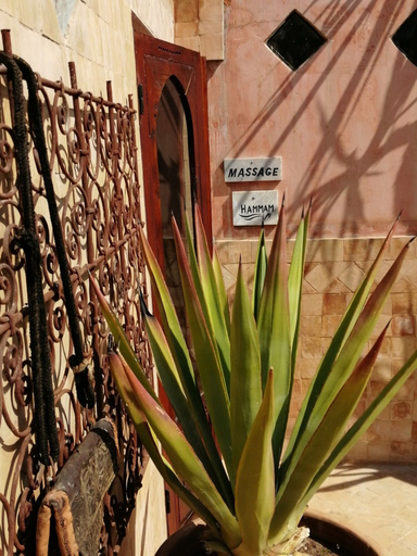 Exterior & Views 2, Riad Tara, Fès