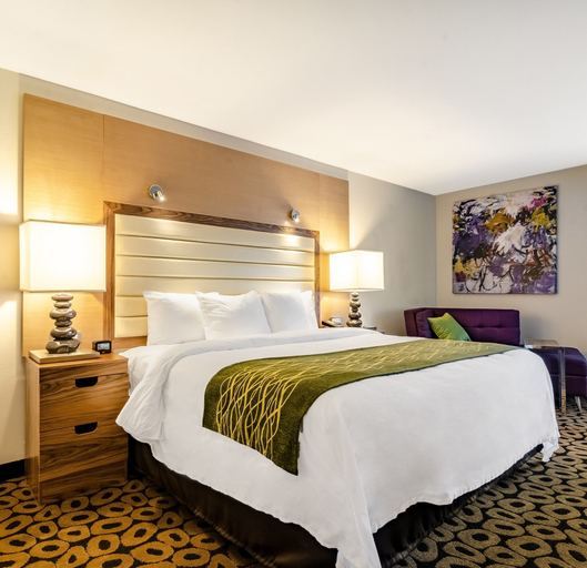 Bedroom 3, Comfort Inn Raleigh Midtown, Wake
