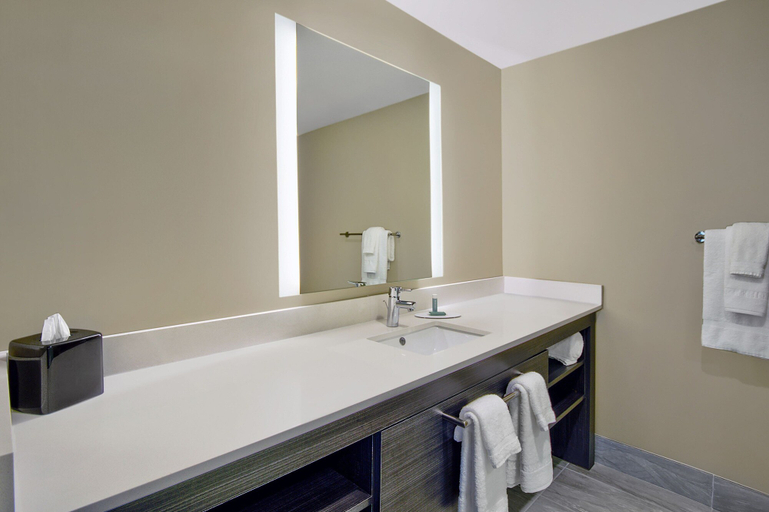 Bathroom 3, Residence Inn by Marriott Reading, Berks