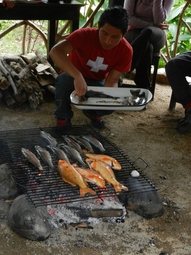 Food & Drinks 5, Finca de la Vaca - Glamping, Palora