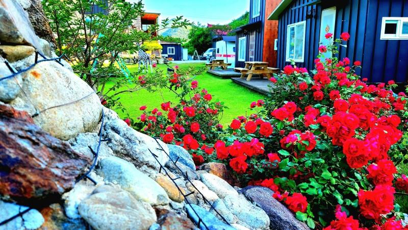 Exterior & Views 1, Muju Windmills and Streams Pension, Yeongdong