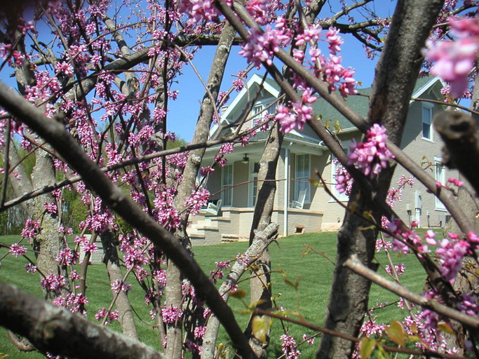 Exterior & Views 2, Wampler House, Monroe