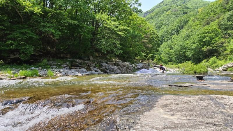 Others 5, Muju Windmills and Streams Pension, Yeongdong
