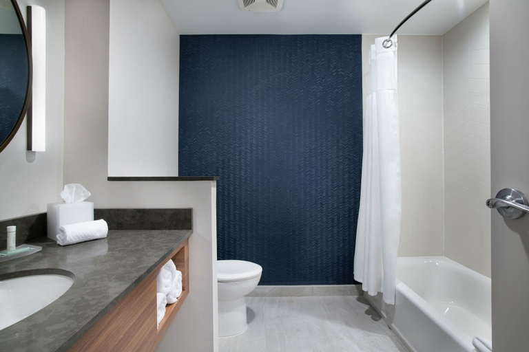 Bathroom 4, Fairfield Inn & Suites by Marriott Memphis Arlington, Shelby
