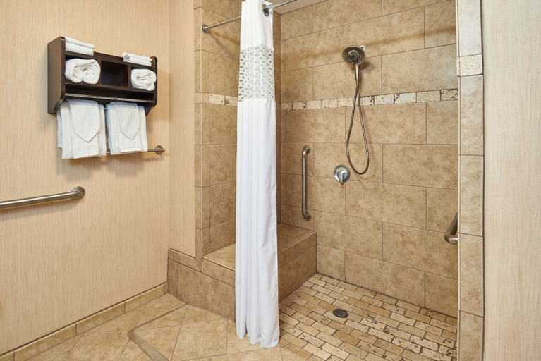 Bathroom 4, Hampton Inn & Suites Waco-South, McLennan