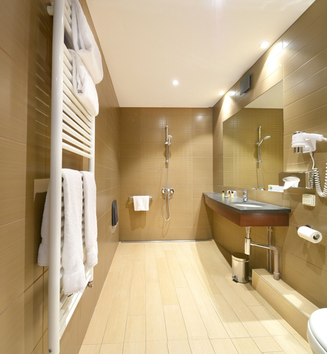 Bathroom 4, Hôtel Le Roosevelt, Rhône